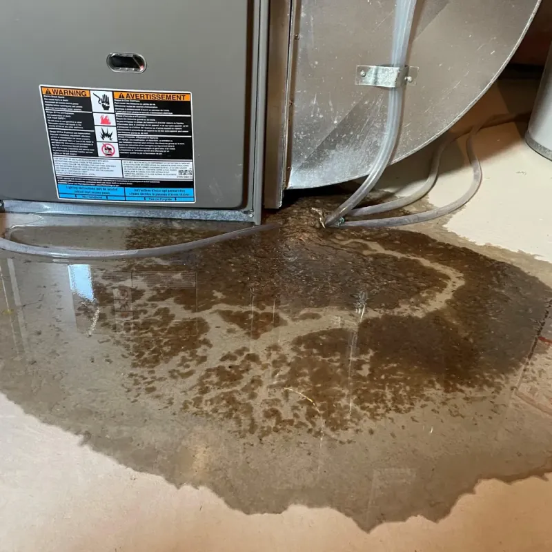 Appliance Leak Cleanup in Mount Pleasant, TX