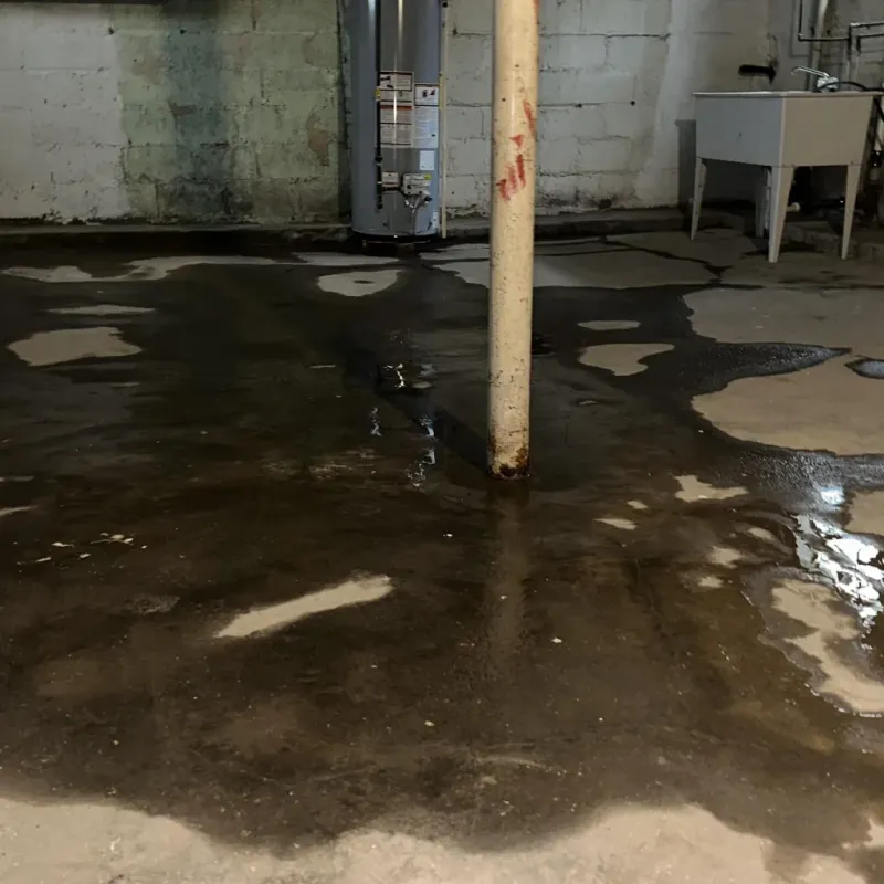 Emergency Water Extraction And Removal in Mount Pleasant, TX